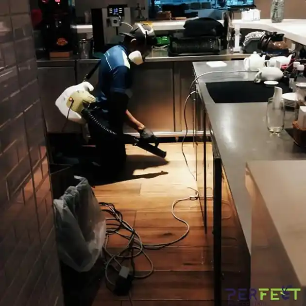 Pest control image 2